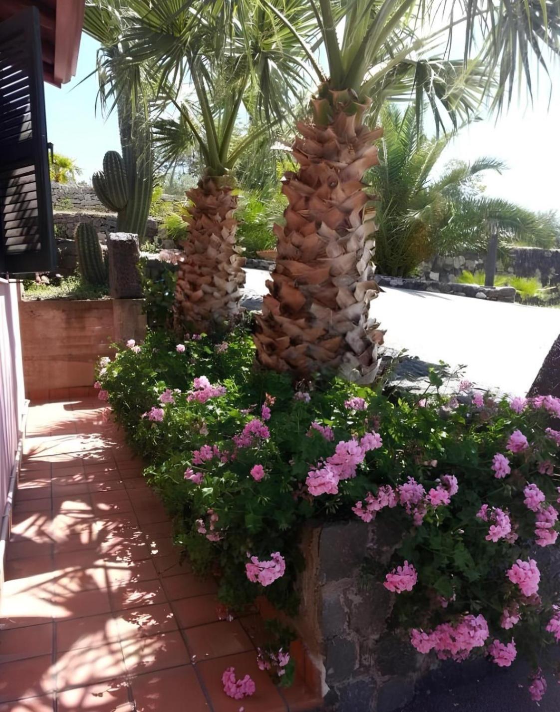 Agriturismo Gianferrante Paterno (Sicily) Exterior foto
