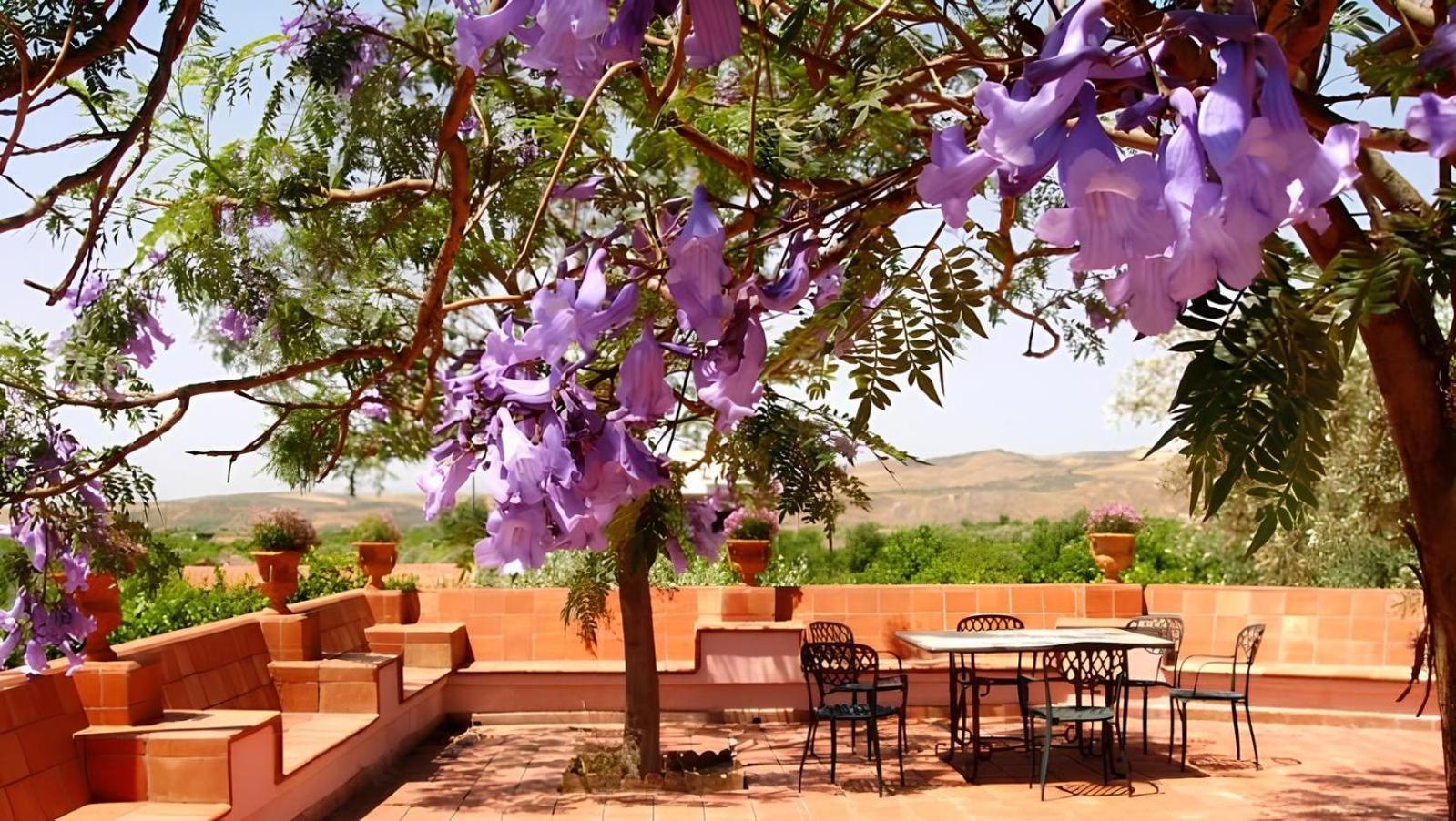 Agriturismo Gianferrante Paterno (Sicily) Exterior foto