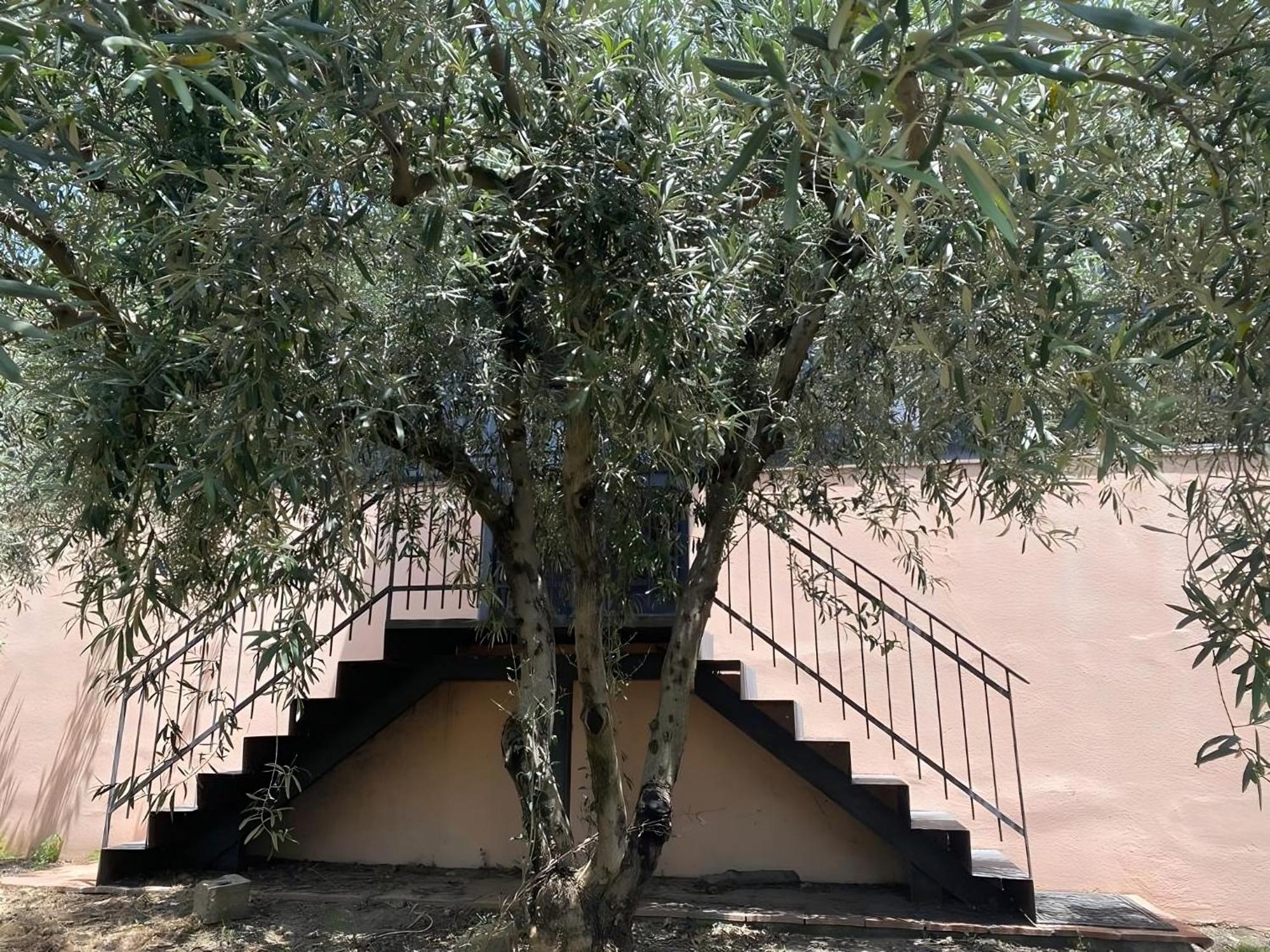 Agriturismo Gianferrante Paterno (Sicily) Exterior foto