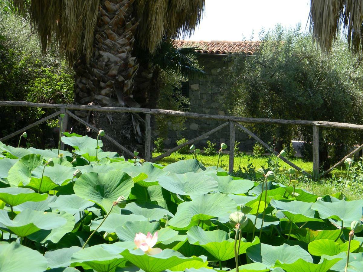 Agriturismo Gianferrante Paterno (Sicily) Exterior foto